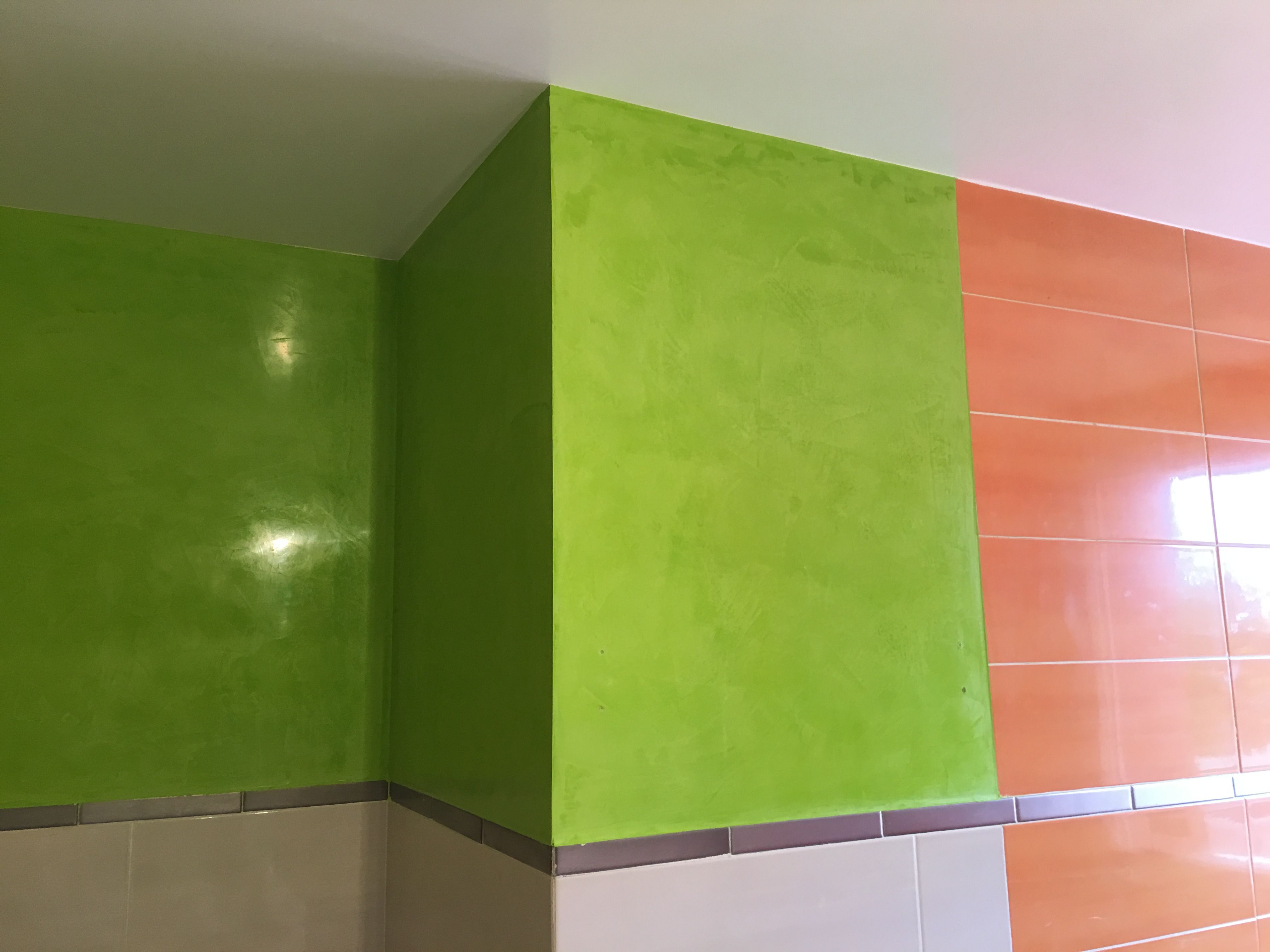 Estuco Mineral Blanco y Estuco Veneciano Verde en Wc (8) | Pintores en