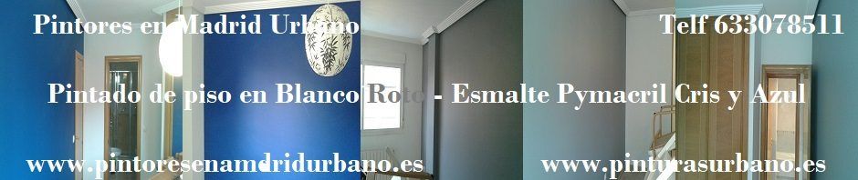 Banner Blanco roto - azul - gris